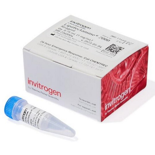 Life赛默飞Invitrogen Lipofectamine 2000转染试剂11668027