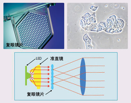 尼康E100生物显微镜