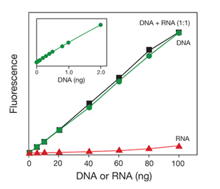 美国Life Invitrogen Qubit® 3.0荧光定量仪Q33216，Q33217，Q33218